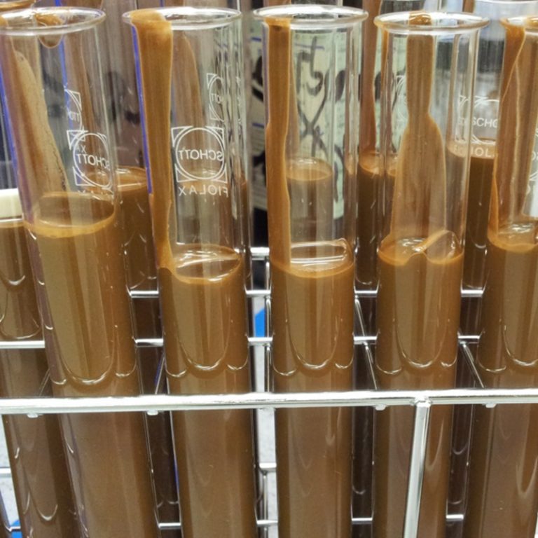 The picture shows test tubes with drilling mud.