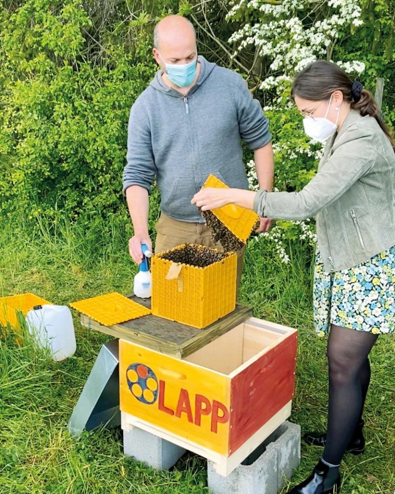 In the picture you can see a beehive from LAPP, the beekeeper Tobias Miltenberger and a woman who holds the lid of the hive with bees in her hands.
