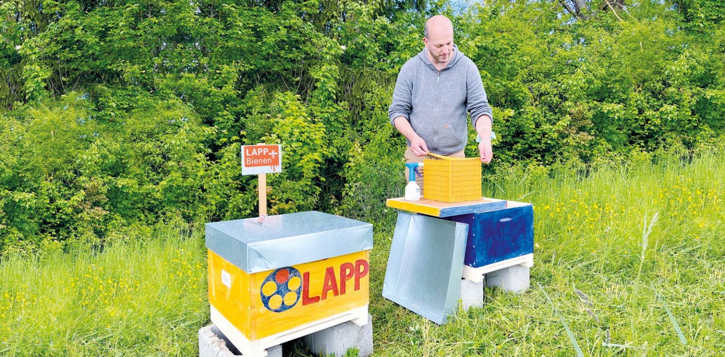 In the picture you can see two beehives from LAPP and the beekeeper Tobias Miltenberger.