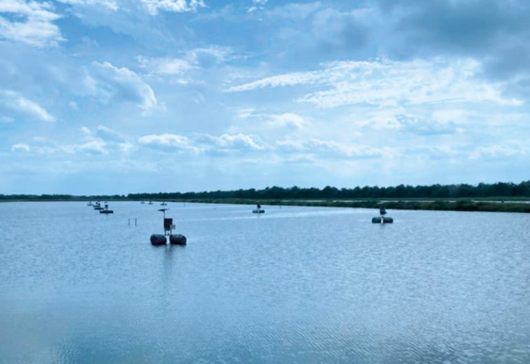 The picture shows a water basin of the umbrella farm of Industrial Pesquera Santa Priscilla SA (IPSP).