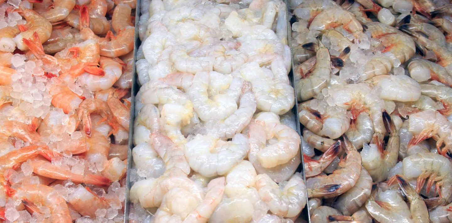 The picture shows fresh shrimp on ice.