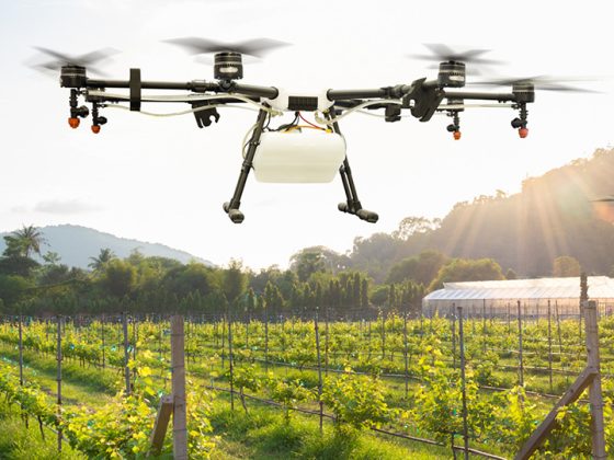 Auf dem Bild sieht man zwei Drohnen über einem Weinberg schweben, gesteuert über einem Laptop.