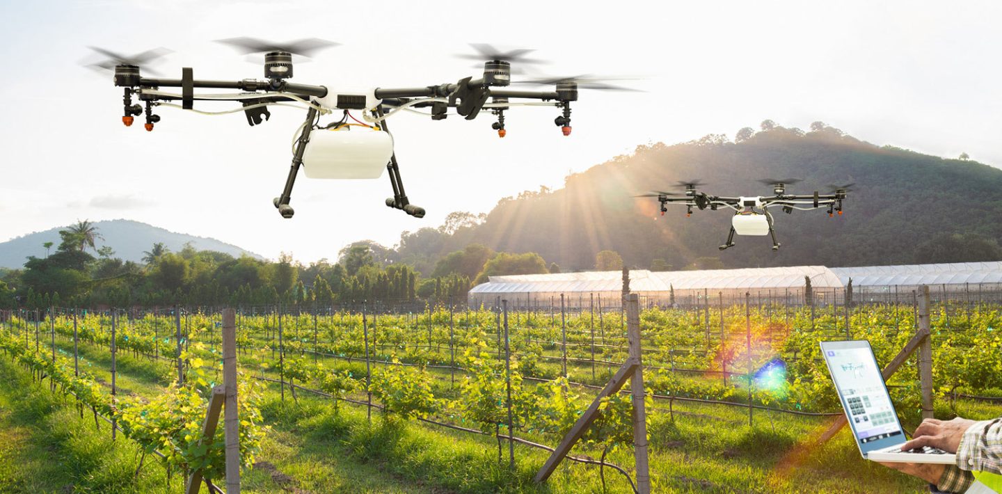 The picture shows two drones hovering over a vineyard, controlled by a laptop.