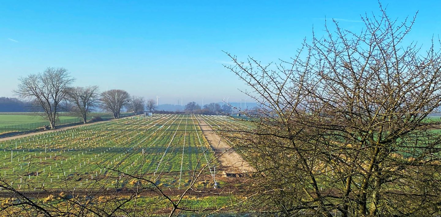 Auf dem Bild sieht man das Gelände der Merscher Höhe in Jülich mit einem in Bau befindlichen Photovoltaikkraftwerk zur Erzeugung von Wasserstoff.