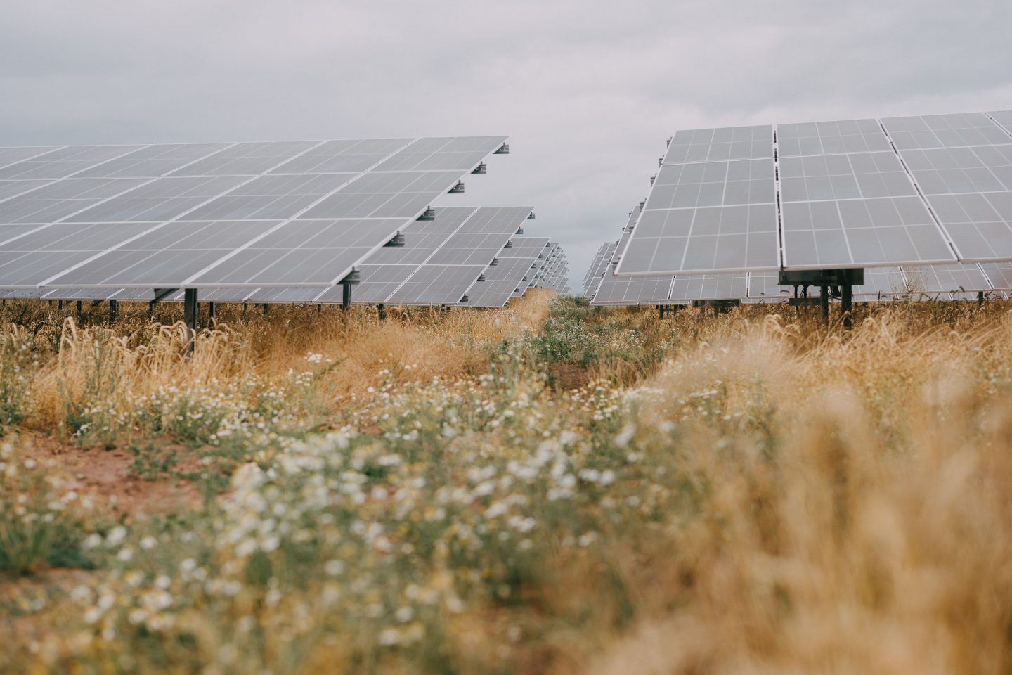 Das Bild zeigt den Bürger-Energiepark in Bundorf, der zukünftig an die 37.500 Haushalte versorgen wird.